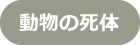 動物の死体